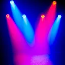 78695_3.webp