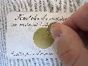 454753071_813936337227087_2069577456297323000_n.webp